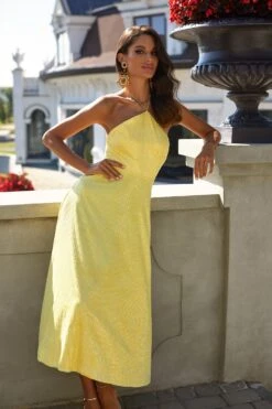 Colette Dress -A L’Amour The Label 59 c713b4ea cf55 442b a34b b767e7bc4429