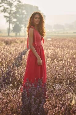 Cellina Maxi Dress 21 Cellina Maxi Dress -A L’Amour The Label 7 96f2dbf6 2731 405f ab3d 33682fa3976d