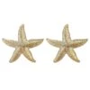 Tiarna Gold Starfish Earrings -A L’Amour The Label earrings37